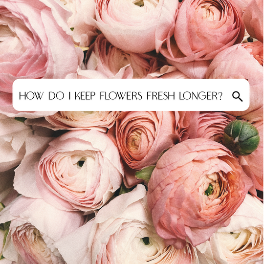 How to Keep Your Flowers Fresh Longer
